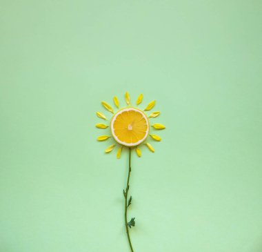 lemon and orange pulpy with flower concept, freshness clipart