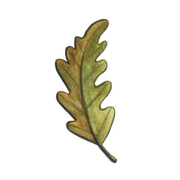 Ilustração a aquarela desenhada à mão de um cogumelo de bolota de folha no contexto branco. Outono outono tempo. Colheita, Dia de Ação de Graças . — Fotografia de Stock
