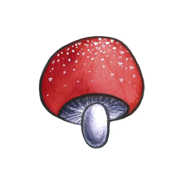 Illustration aquarelle dessinée à la main d'un champignon aux glands sur fond blanc. Automne automne météo. Récolte, jour de Thanksgiving . — Photo