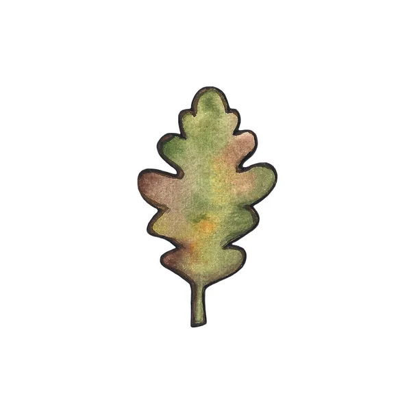 Рука намальована квіткова акварельна ілюстрація гілки листя ізольована на білому тлі. Осінь, осінь, листя осінь. День танків, урожай . — стокове фото