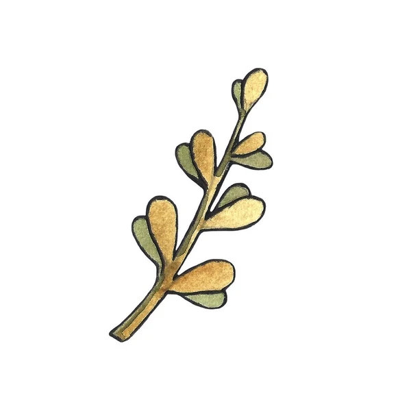 Handgezeichnete florale Aquarell-Illustration eines Blattastes isoliert auf weißem Hintergrund. Herbst, Herbst, Laubfall. Tankstellentag, Erntedankfest. — Stockfoto