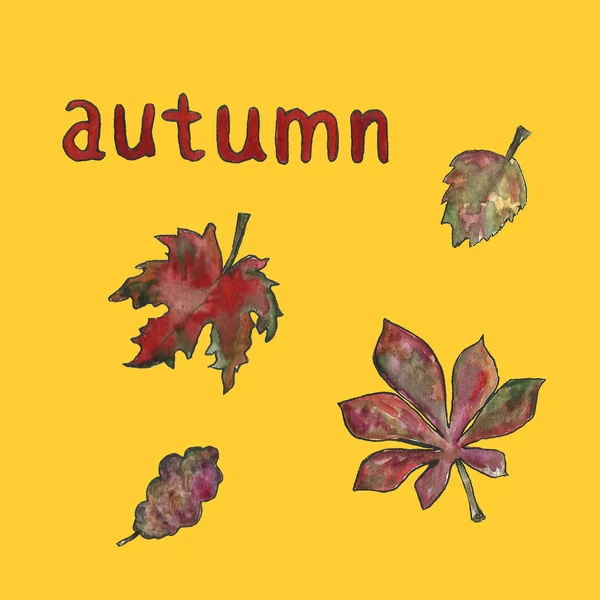 ●単一セットフレームリーフ枝の手描きの花植物水彩イラスト。秋、秋、葉の秋。タンク与える日、収穫. — ストック写真