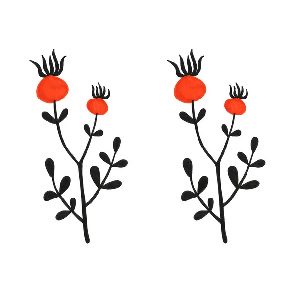 Krásná ruka přitačovaném jednoduchým, primitivní květinovou botanickou psí růží. Podzim, podzim, sklizeň — Stock fotografie