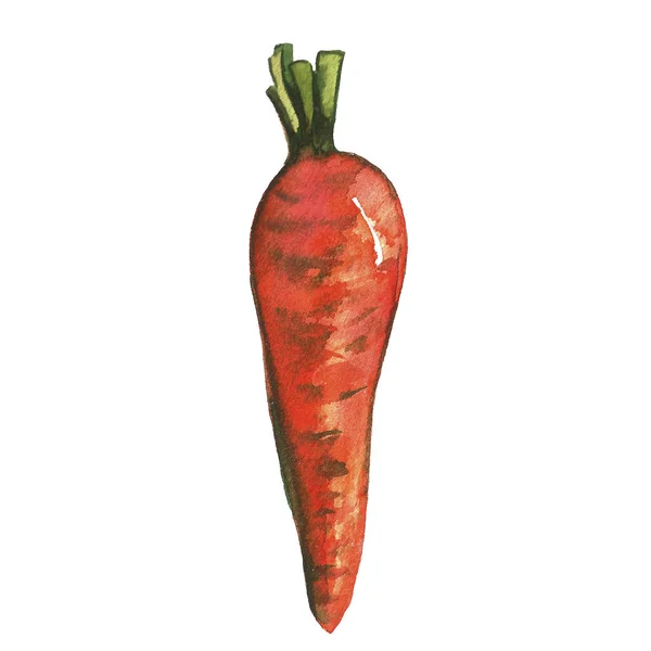 Aquarela pintada coleção legumes tomate cenoura pepino conjunto. Elementos de design de alimentos frescos desenhados à mão isolados sobre fundo branco . — Fotografia de Stock