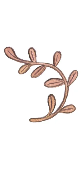 Vintage Acuarela setas otoñales, ramas conjunto de hojas. Dibujo a mano objetos aislados sobre fondo blanco y colorido. Ilustración de otoño. Objetos asignados en la trayectoria —  Fotos de Stock