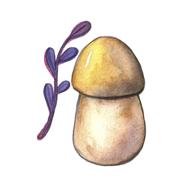 Jahrgang Aquarell Herbstpilze, Zweige Blätter gesetzt. Handzeichnung isolierter Objekte auf weißem und buntem Hintergrund. Illustration zur Herbsternte. Objekte, die im Pfad zugeordnet sind — Stockfoto