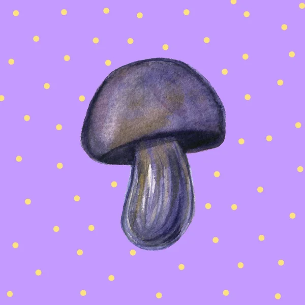 Vintage Acquerello autunno funghi, rami foglie set. Disegno a mano di oggetti isolati su sfondo bianco e colorato. Illustrazione raccolta autunno. Oggetti assegnati nel percorso — Foto Stock