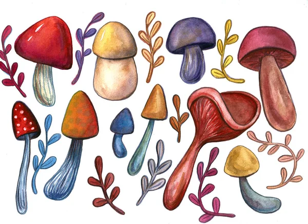 Ročník akvarel podzimní podzim houby, větve jsou nastaveny. Izolované objekty ručně nakreslené na bílém a barevném pozadí. Příklad sklizně na podzim. Objekty přidělené v cestě — Stock fotografie