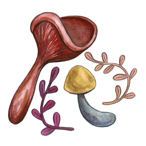 빈티지 수채화 가을 가을 버섯, 가지 잎 세트. 흰색과 화려한 배경에 손으로 그린 고립 된 개체. 가을 수확 그림입니다. 경로에 할당된 개체 — 스톡 사진