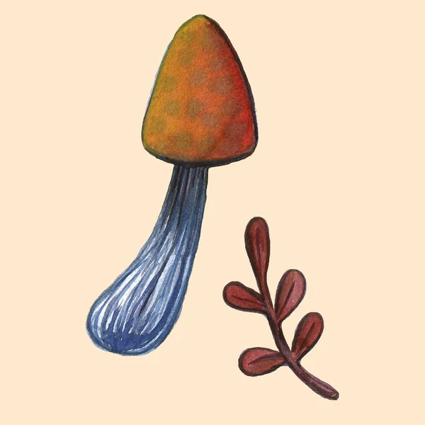 Ročník akvarel podzimní podzim houby, větve jsou nastaveny. Izolované objekty ručně nakreslené na bílém a barevném pozadí. Příklad sklizně na podzim. Objekty přidělené v cestě — Stock fotografie