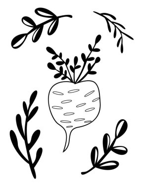 Vektör el Çizilmiş Taze Meyve ve Sebze Koleksiyonu. Sonbahar, sonbahar, hasat, mevsim