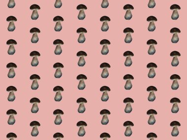 Amanita. Kırmızı mantar ile Botanik dikişsiz desen. Doğal unsurlar el renkli kalemler ile boyanmış. Çiçek suluboya arka plan