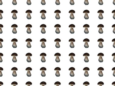 Amanita. Kırmızı mantar ile Botanik dikişsiz desen. Doğal unsurlar el renkli kalemler ile boyanmış. Çiçek suluboya arka plan