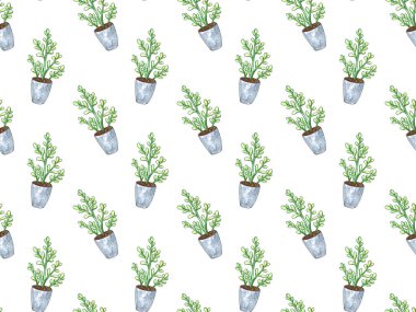 Bir tencerede bitki ile dikişsiz desen. Suluboya illüstrasyon. Yalıtılmış nesneler. Yeşil, kahverengi.