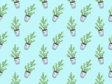 Bir tencerede bitki ile dikişsiz desen. Suluboya illüstrasyon. Yalıtılmış nesneler. Yeşil, kahverengi.