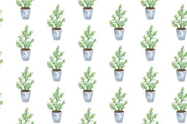 Bir tencerede bitki ile dikişsiz desen. Suluboya illüstrasyon. Yalıtılmış nesneler. Yeşil, kahverengi.