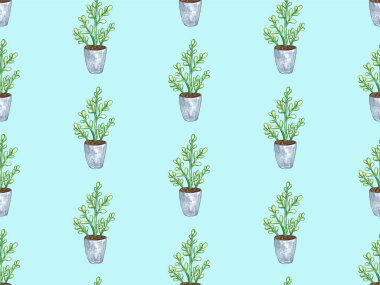 Bir tencerede bitki ile dikişsiz desen. Suluboya illüstrasyon. Yalıtılmış nesneler. Yeşil, kahverengi.