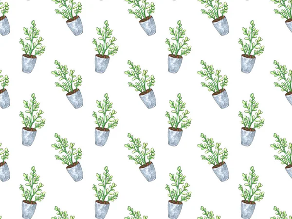 Bir tencerede bitki ile dikişsiz desen. Suluboya illüstrasyon. Yalıtılmış nesneler. Yeşil, kahverengi.