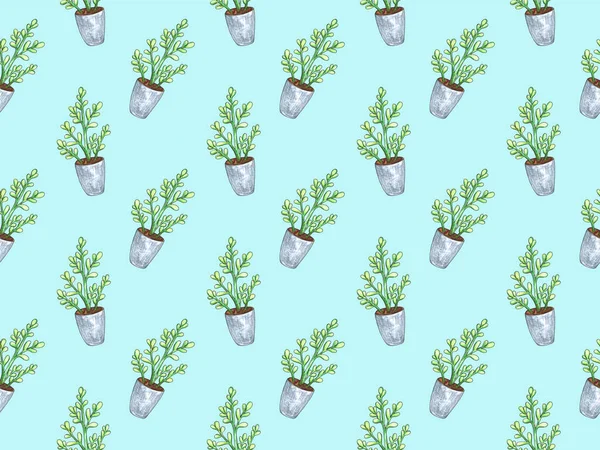 Bir tencerede bitki ile dikişsiz desen. Suluboya illüstrasyon. Yalıtılmış nesneler. Yeşil, kahverengi.