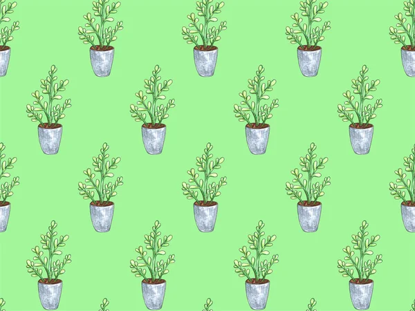 Bir tencerede bitki ile dikişsiz desen. Suluboya illüstrasyon. Yalıtılmış nesneler. Yeşil, kahverengi.