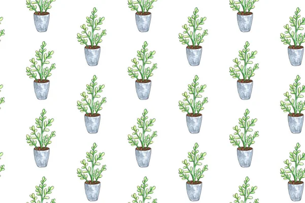 Bir tencerede bitki ile dikişsiz desen. Suluboya illüstrasyon. Yalıtılmış nesneler. Yeşil, kahverengi.