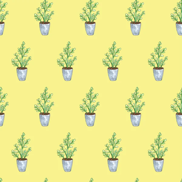Bir tencerede bitki ile dikişsiz desen. Suluboya illüstrasyon. Yalıtılmış nesneler. Yeşil, kahverengi.