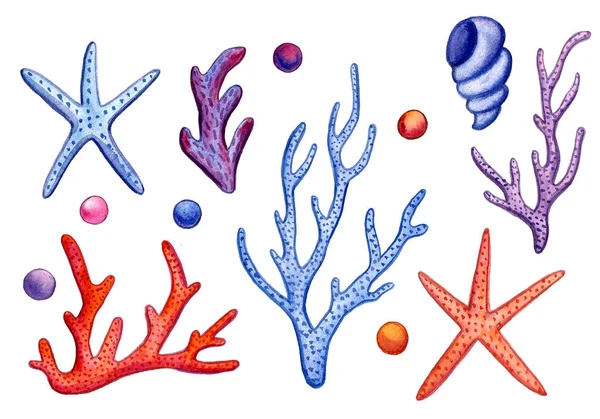 手描き水彩サンゴ海のアイコンセットデザインスクラップブックペーパー、テキスタイル、ウェブサイト — ストック写真