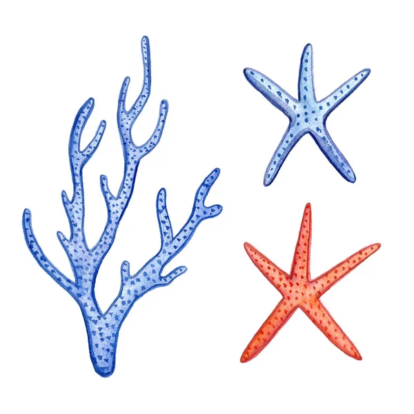 手工油漆水彩珊瑚海洋图标集设计废品纸，纺织品，网站 — 图库照片