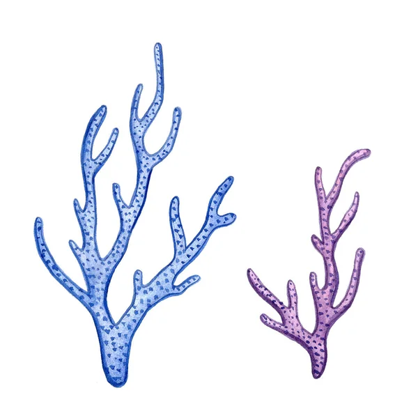 Hand färg akvarell korall havsutsikt Ikonuppsättning design skrot bokpapper, textil, webbplatser — Stockfoto