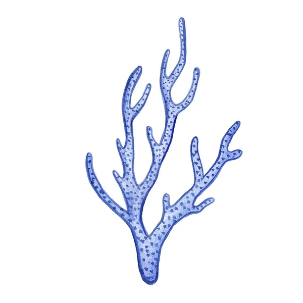Hand färg akvarell korall havsutsikt Ikonuppsättning design skrot bokpapper, textil, webbplatser — Stockfoto