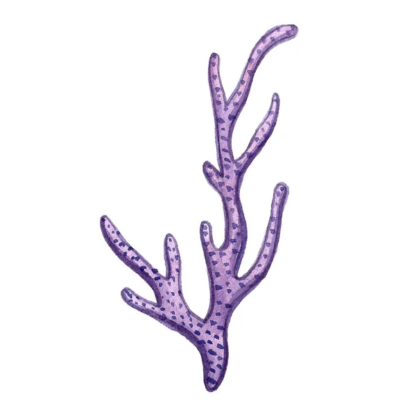 Ζωγραφισμένα στο χέρι Υδατογραφία κοραλλιογενείς θάλασσα ωκεανός εικονίδιο σύνολο σχεδίαση θραύσματα βιβλίο χαρτί, υφαντικές ύλες, ιστοσελίδες — Φωτογραφία Αρχείου