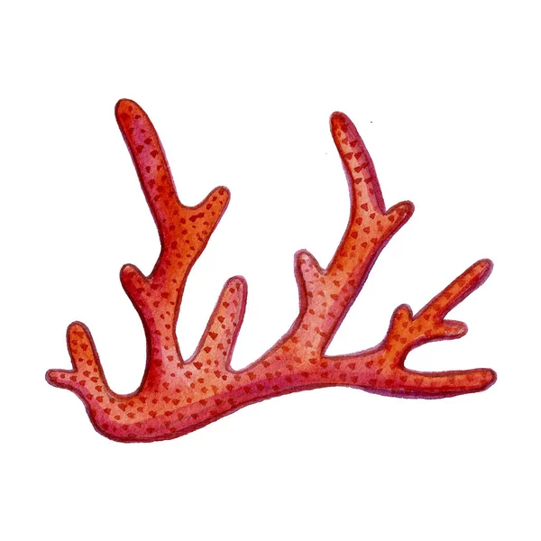 Ручна фарба акварельна іконка коралового океану набір дизайнерських книг металобрухту, текстилю, веб-сайтів — стокове фото