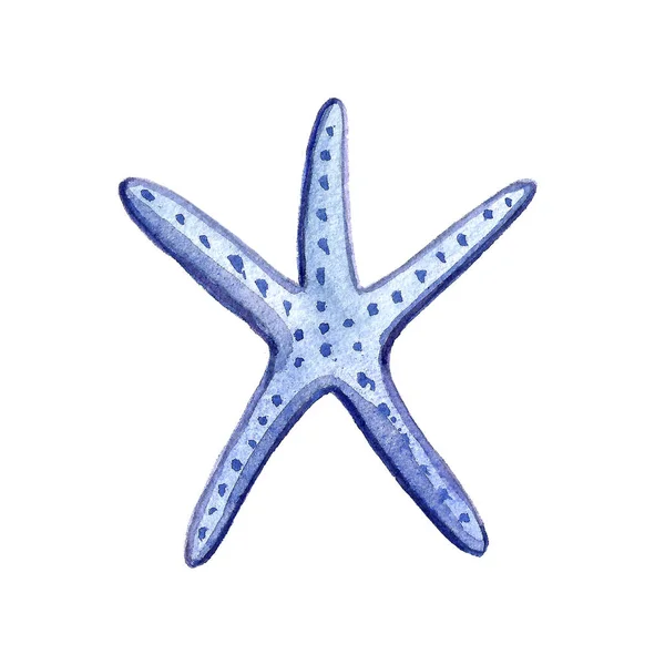 핸드 페인트 수채화 산호 바다 아이콘 세트 디자인 스크랩 북 종이, 섬유, 웹 사이트 — 스톡 사진
