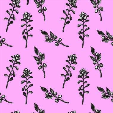 Bilberries ile kalem seti desen çerçeve ile çizilmiş el. Orman meyvesi. Eko gıda grafik illüstrasyon Beyaz izole