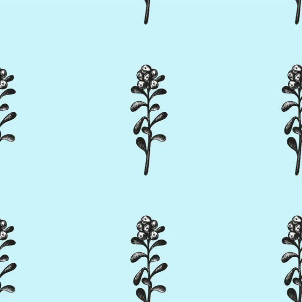 Ručně nakreslený rámeček se vzorem pera s borůvkami. Lesní bobule. Eko potraviny grafická ilustrace izolované na bílém — Stock fotografie