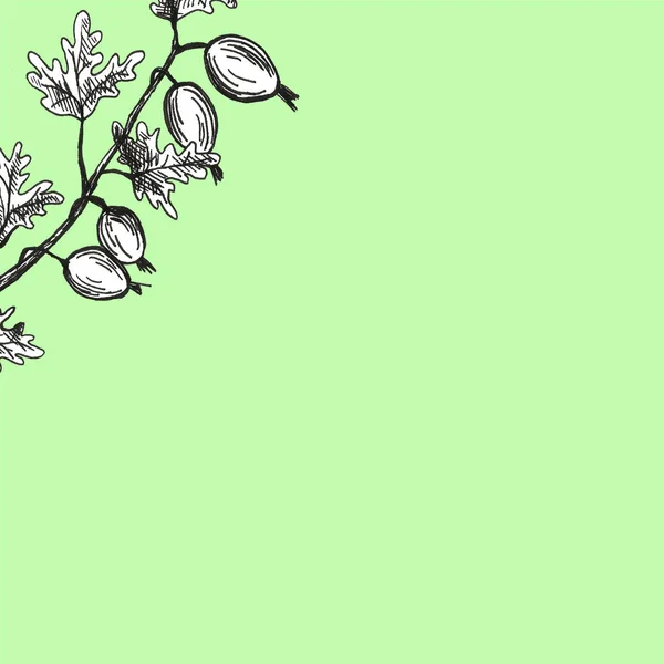Ručně nakreslený rámeček se sadou per angrešin. Letní podzimní bobule. Krásný obrázek — Stock fotografie