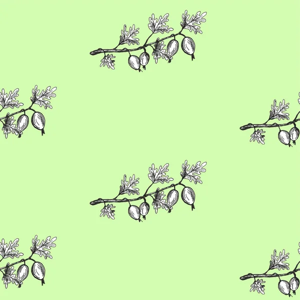 손으로 그린 펜 구스 베리 세트 프레임 패턴. 여름 가을 열매. 아름다운 그래픽 일러스트 — 스톡 사진