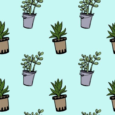 Tencerede farklı el çizilmiş ev bitkileri ayarlayın. İzole dekoratif bitkiler: aloe, crassula, tasarım şablonu için çiçek, simge, hediye kartı. Çizim stili vektör çizimi.