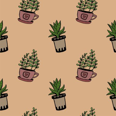 Tencerede farklı el çizilmiş ev bitkileri ayarlayın. İzole dekoratif bitkiler: aloe, crassula, tasarım şablonu için çiçek, simge, hediye kartı. Çizim stili vektör çizimi.