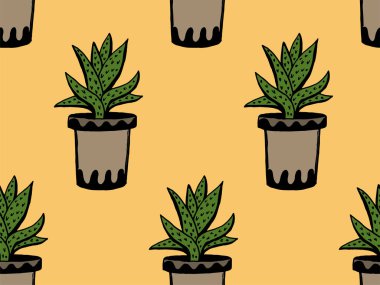 Tencerede farklı el çizilmiş ev bitkileri ayarlayın. İzole dekoratif bitkiler: aloe, crassula, tasarım şablonu için çiçek, simge, hediye kartı. Çizim stili vektör çizimi.