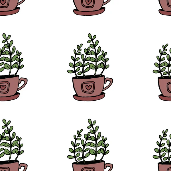 Ensemble de différentes plantes de maison dessinées à la main dans des pots. Plantes décoratives isolées : aloès, crassula, fleur pour modèle de conception, icône, carte cadeau. Illustration vectorielle de style croquis . — Image vectorielle