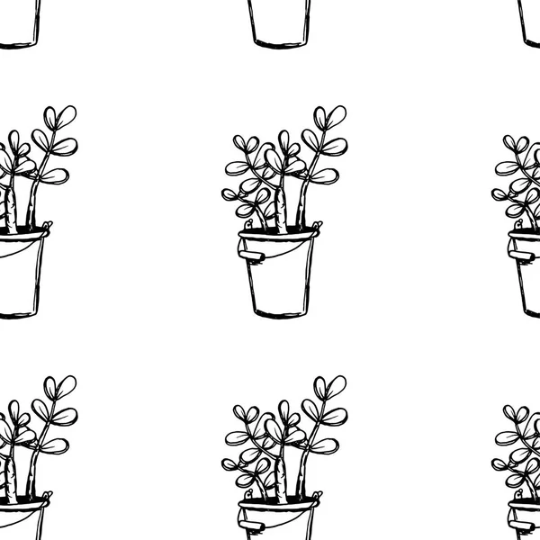 Uppsättning av olika handritade krukväxter i krukor. Isolerade dekorativa växter: aloe, crav, blomma för designmall, ikon, presentkort. Skiss stil vektor illustration. — Stock vektor