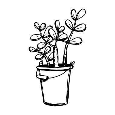 Tencerede farklı el çizilmiş ev bitkileri ayarlayın. İzole dekoratif bitkiler: aloe, crassula, tasarım şablonu için çiçek, simge, hediye kartı. Çizim stili vektör çizimi.