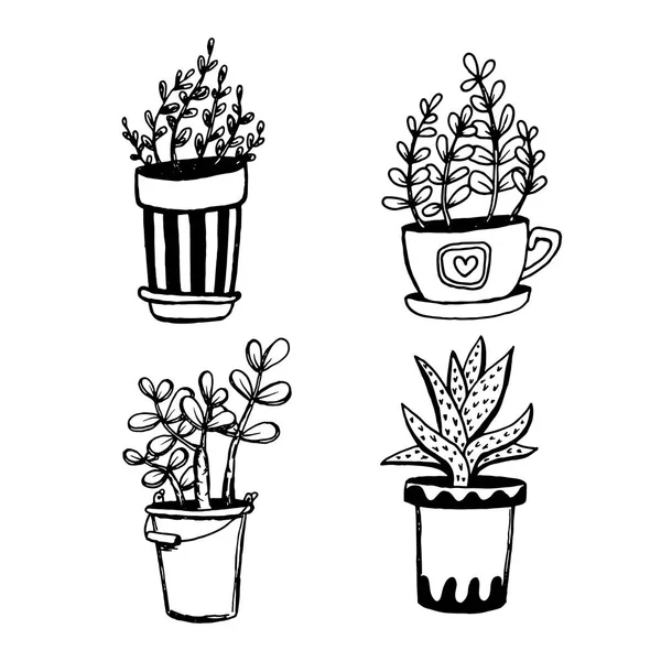 Ensemble de différentes plantes de maison dessinées à la main dans des pots. Plantes décoratives isolées : aloès, crassula, fleur pour modèle de conception, icône, carte cadeau. Illustration vectorielle de style croquis . — Image vectorielle