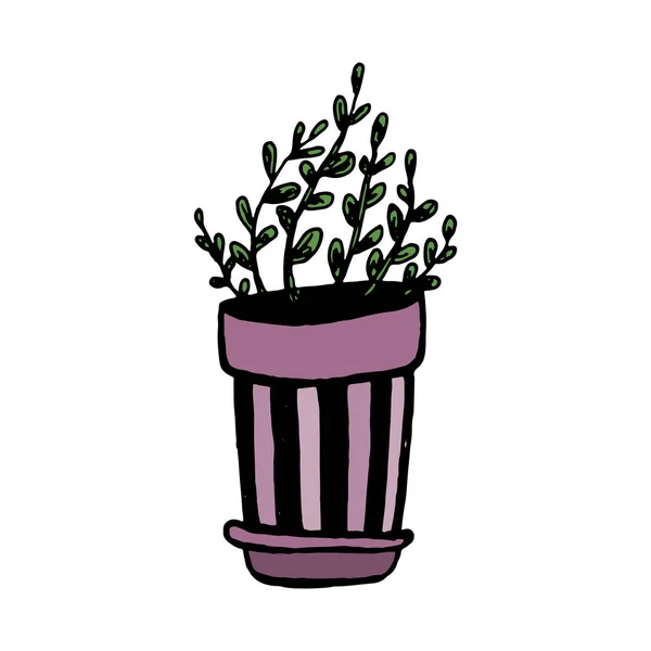 ポットに異なる手描きの家の植物のセット。孤立した装飾植物:アロエ、クラッスラ、デザインテンプレート、アイコン、ギフトカードのための花。スケッチ スタイル ベクトル イラストレーション. — ストックベクタ