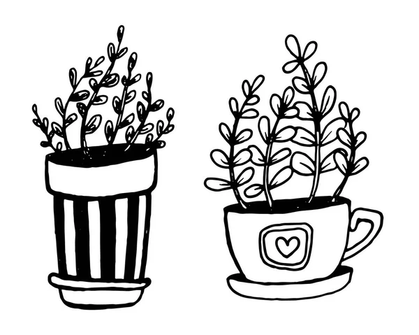 Ensemble de différentes plantes de maison dessinées à la main dans des pots. Plantes décoratives isolées : aloès, crassula, fleur pour modèle de conception, icône, carte cadeau. Illustration vectorielle de style croquis . — Image vectorielle