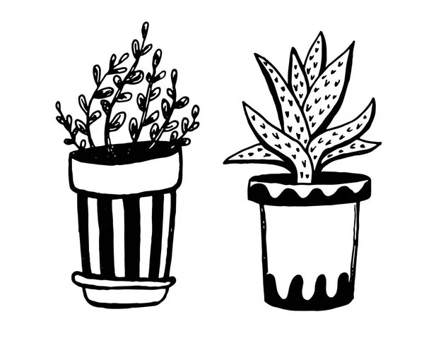 냄비에 다른 손으로 그린 집 식물의 집합입니다. 고립 된 장식 식물 : 알로에, crassula, 디자인 템플릿, 아이콘, 선물 카드를위한 꽃. 스케치 스타일 벡터 일러스트레이션. — 스톡 벡터