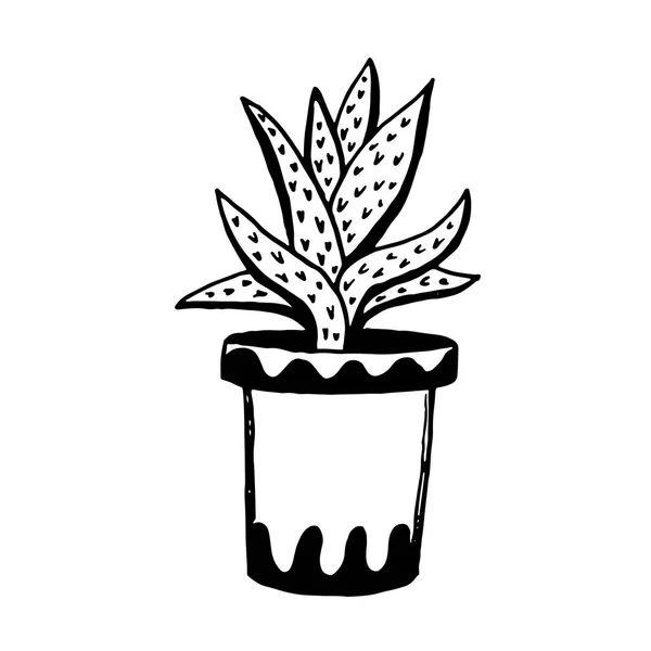 Conjunto de diferentes plantas de casa dibujadas a mano en macetas. Plantas decorativas aisladas: aloe, crassula, flor para plantilla de diseño, icono, tarjeta de regalo. Dibujo estilo vector ilustración . — Archivo Imágenes Vectoriales