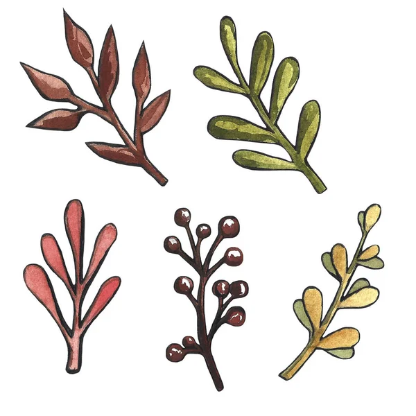 Illustrazione ad acquerello di foglie autunnali gialle e rosse, foglie di betulla, frassino di montagna, acero, quercia. ghiande, castagne e noci. insieme di oggetti isolati — Foto Stock