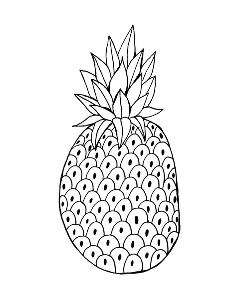 나뭇잎 아이콘이 있는 파인애플. 흰 바탕에는 열 대 과일이 고립되어 있다. 음식, 달콤 함, 이국적 이고 여름의 상징, 비타민, 건강 함. 자연로고 디저트. 플랫 컨셉이야. 설계 요소 벡터 삽화 — 스톡 벡터